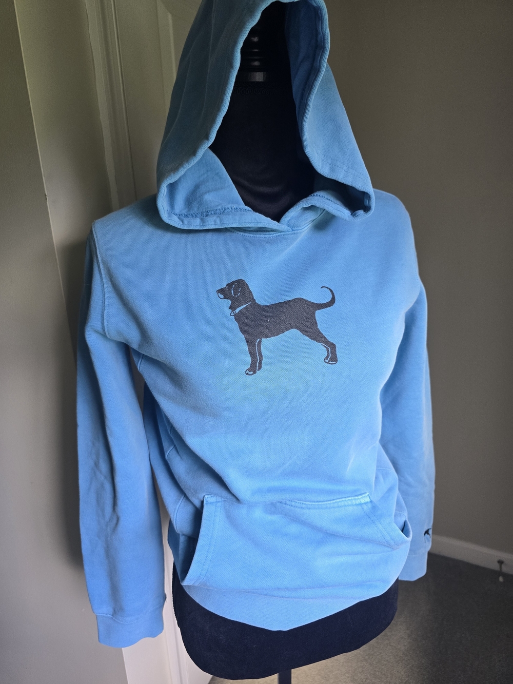 The Black Dog Sky Blue Hoodie/Sweatshirt
